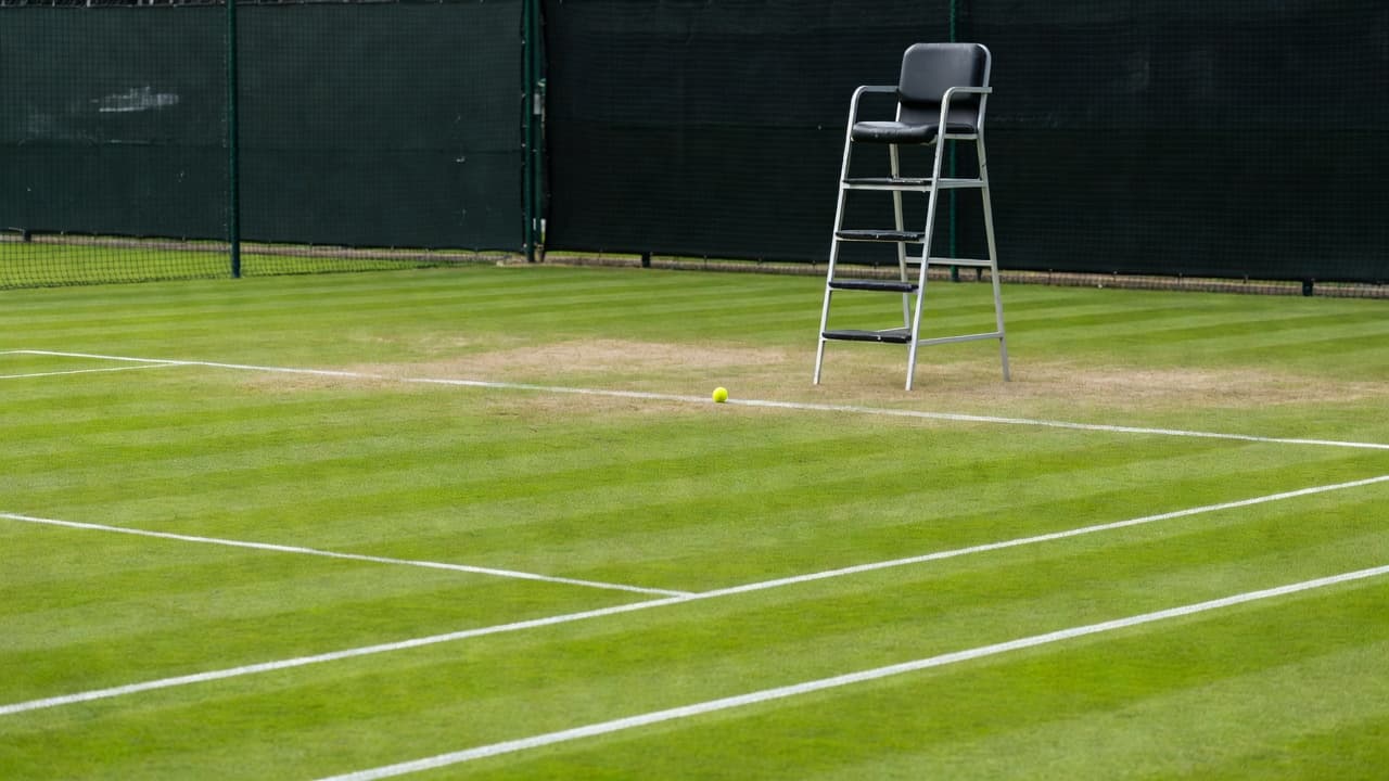 Fernandez and Siegemund fall in Queen's Club doubles final